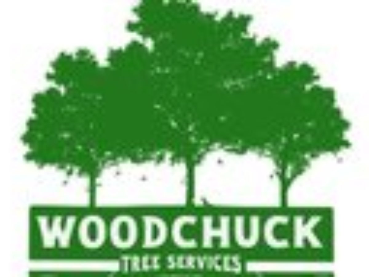 Tree Service Memphis, TN Removal & Trimming [Voted #1] - Best Prices